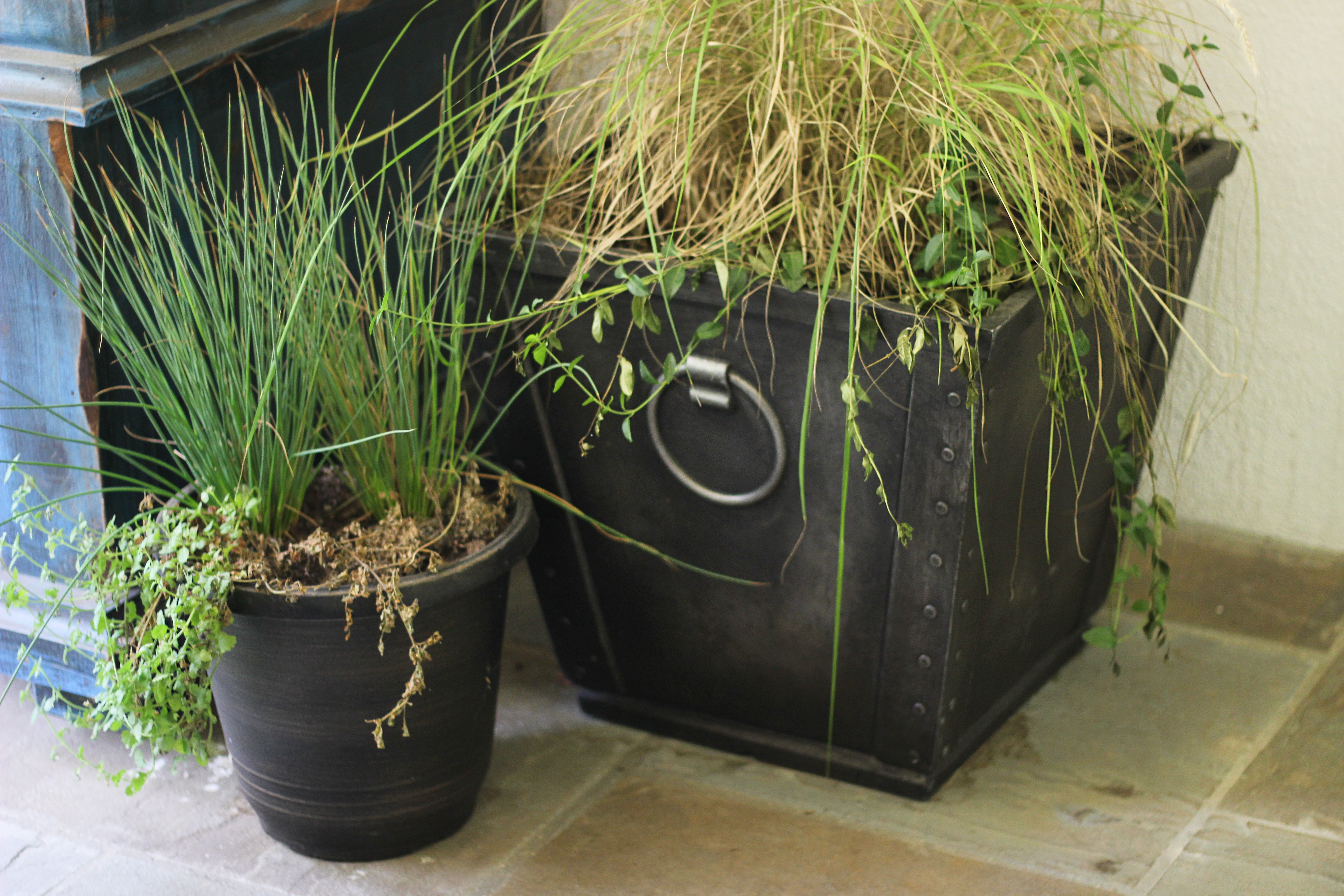 Plant Containers Rachel Hollis | The Chic Site